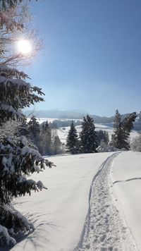 Winterwanderweg_1